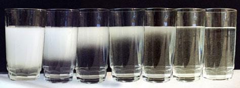 Glasses of water, some have clear water, some cloudy