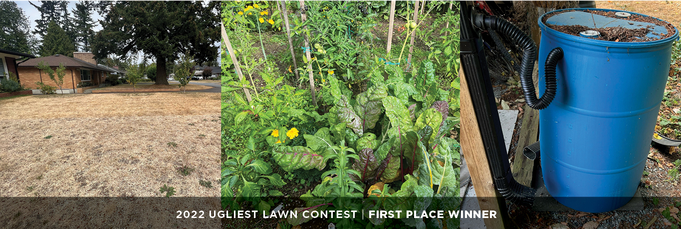 Ugliest Lawn Contest First Place Winner - Gallery displaying pictures of lawn