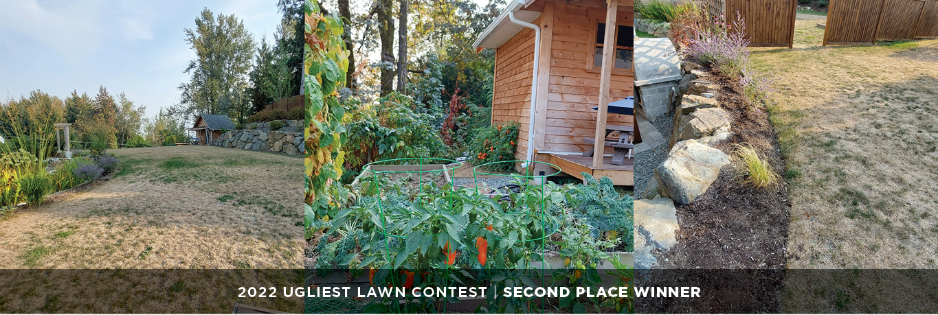 Ugliest Lawn Contest Second Place Winner - Gallery displaying pictures of lawn
