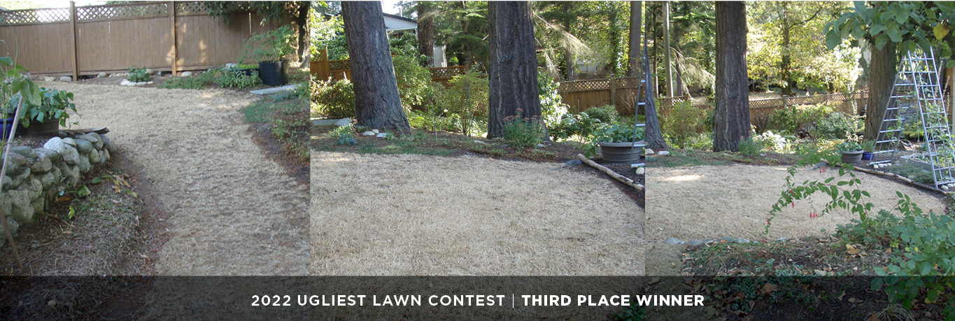 Ugliest Lawn Contest Third Place Winner - Gallery displaying pictures of lawn