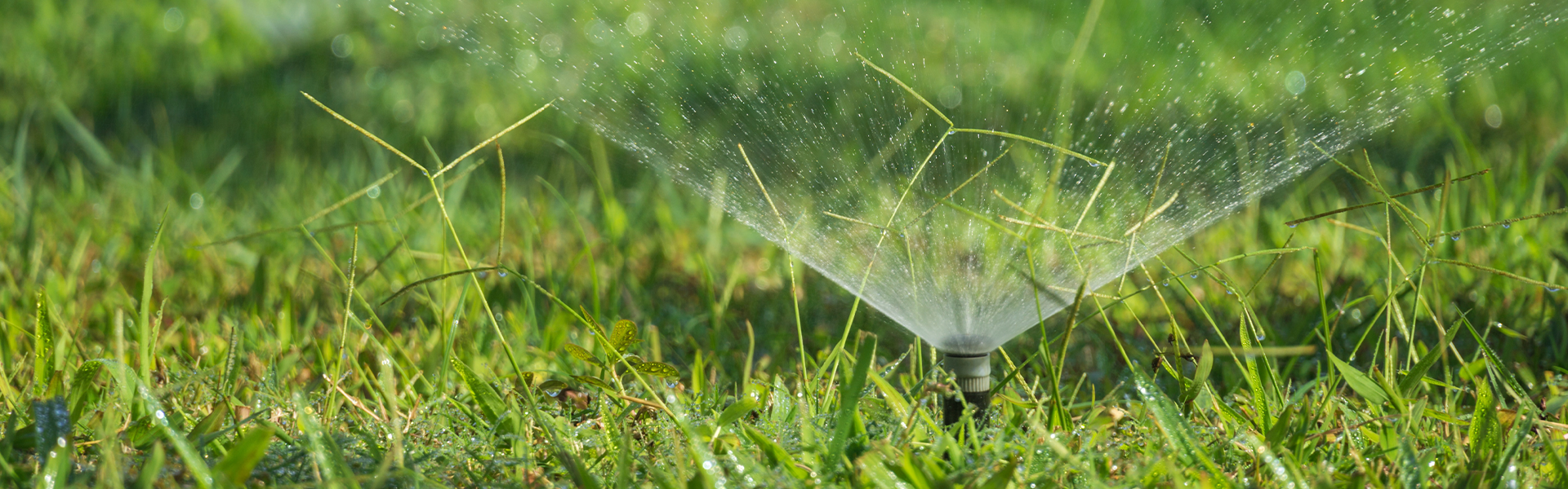 Lawn Sprinkler Banner